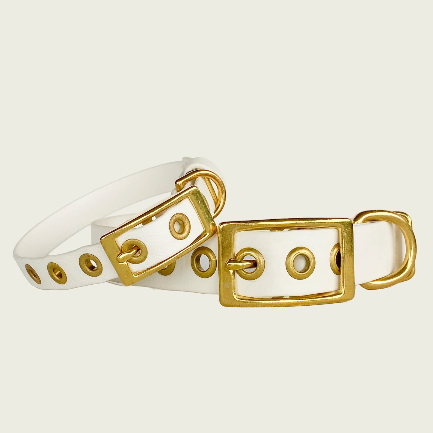 CLASSIC COLLAR