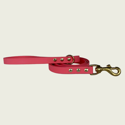 CLASSIC LEADS