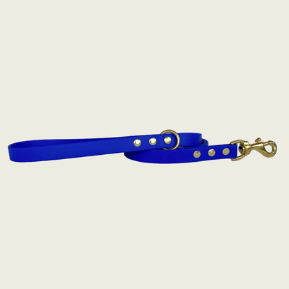 CLASSIC LEADS