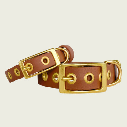 CLASSIC COLLAR