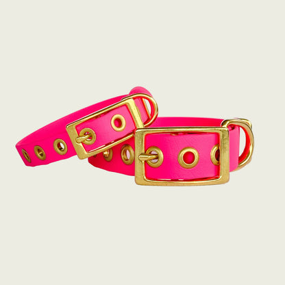 CLASSIC COLLAR