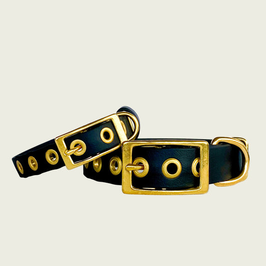 CLASSIC COLLAR