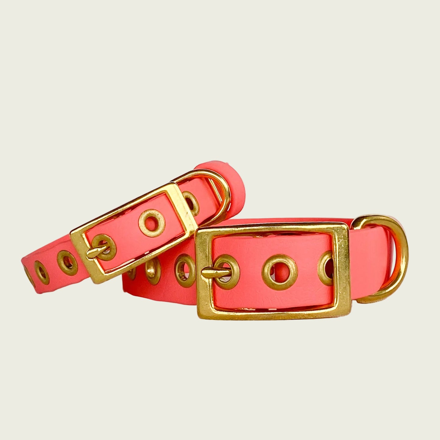 CLASSIC COLLAR