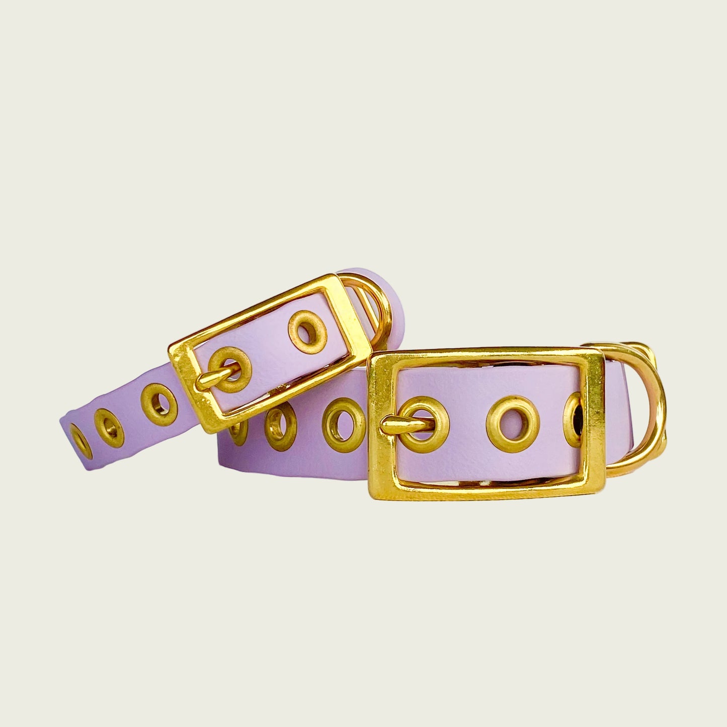 CLASSIC COLLAR