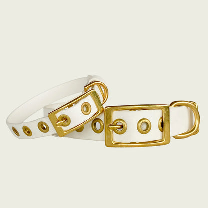CLASSIC COLLAR