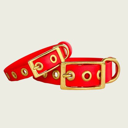 CLASSIC COLLAR